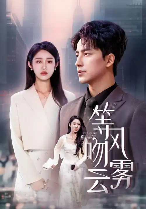 无声证词 刑侦电视剧全集